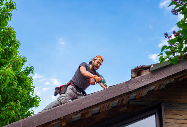 Best Steel Roofing  in Lehigh Acres, FL