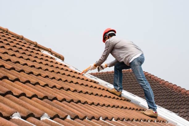 Trusted Lehigh Acres, FL Roofing services Experts